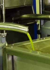 Das pure, kaltextrahierte Olivenöl kommt aus dem Dekanter.