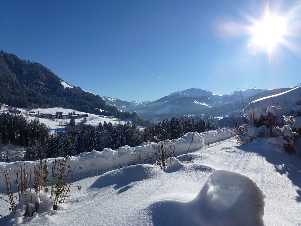 Leckeres Wintermenü